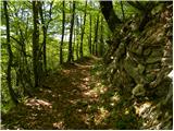 Koča na planini Kuhinja - Planica below Krn